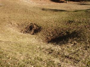 10 Zreče - osameli kras (Foto 10,  Ljudmila Strahovnik, ZRSVN OE Celje)